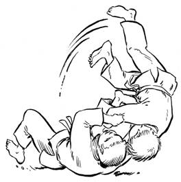 31